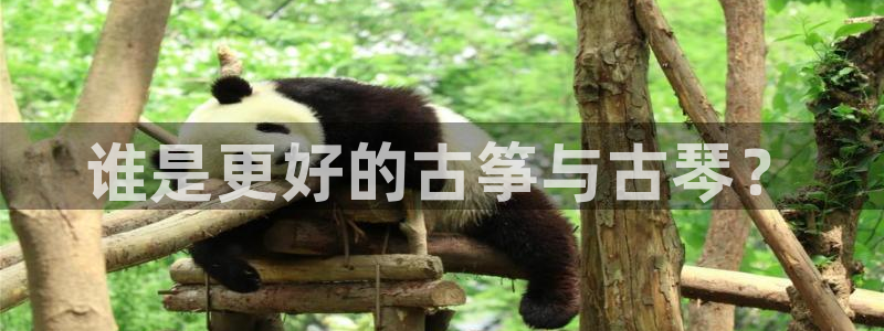 凯发k8国际官网可靠吗:谁是更好的古筝与古琴?