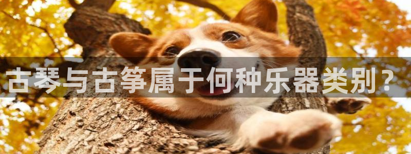 凯发k8娱乐现在还有吗:古琴与古筝属于何种乐器类别?