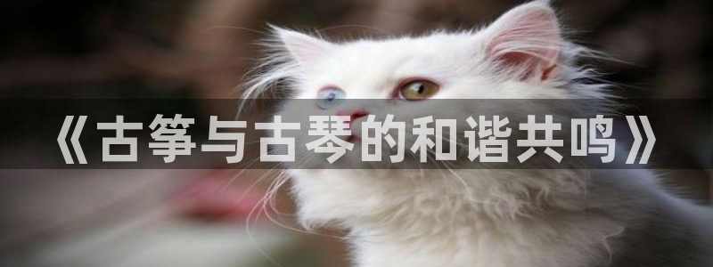 凯发首页:《古筝与古琴的和谐共鸣》